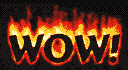 wow 2.gif